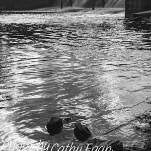 Meet your Posher, Cathy